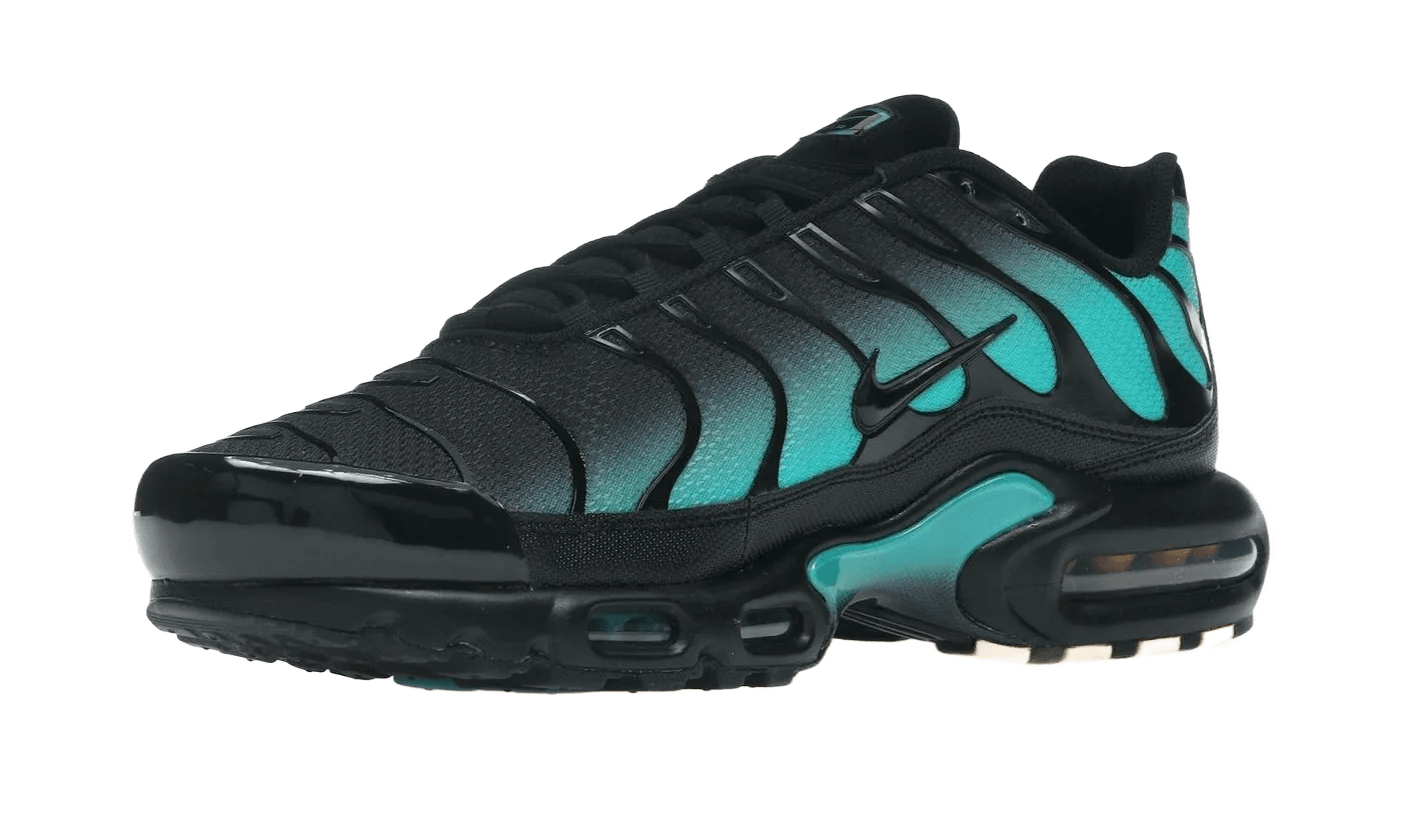 Nike Air Max Plus Black Dusty Cactus - DM0032-016